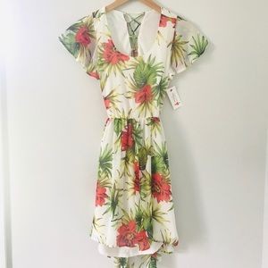 Red Dress Boutique Aura Dress